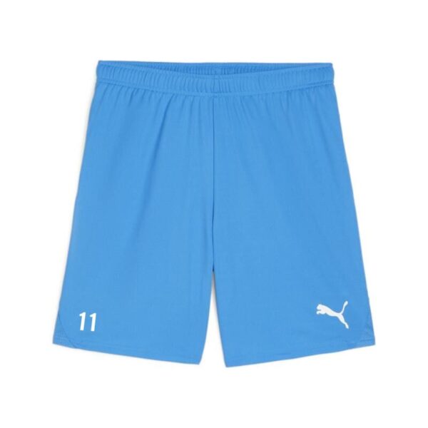 5065 22805 bb7ff6e4c125 teamgoal shorts 00 li electric blue lemonade puma white.jpg