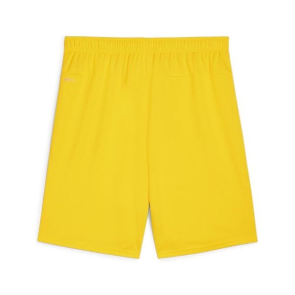 5067 22816 1c4e4cf2fd0e teamgoal shorts 00 li faster yellow puma black.jpg