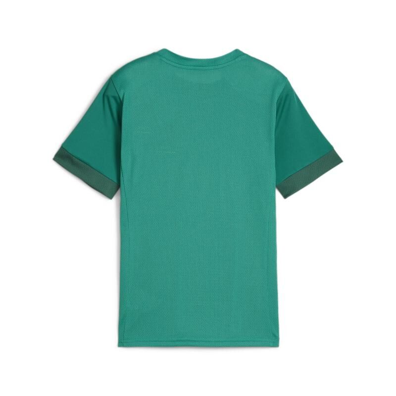 6378 22752 ef295f780ab7 teamgoal matchday jersey jr l re 00 li sport green puma white power green.jpg