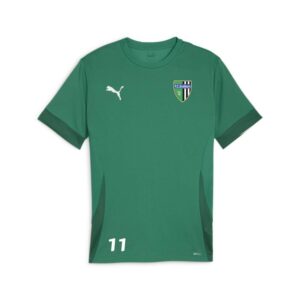 6379 22711 3dbd774e02ec teamgoal matchday jersey l re 00 li sport green puma white power green.jpg