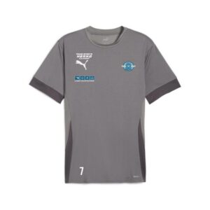 6412 22727 5541d1519f26 trainingsshirt jersey 00 li sponsor li l re sp2 li cast iron puma white shadow gray.jpg