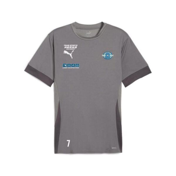 6412 22727 5541d1519f26 trainingsshirt jersey 00 li sponsor li l re sp2 li cast iron puma white shadow gray.jpg