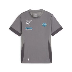 6413 22767 1028b15481c5 trainingsshirt jersey 00 li sponsor li l re sp2 li cast iron puma white shadow gray.jpg