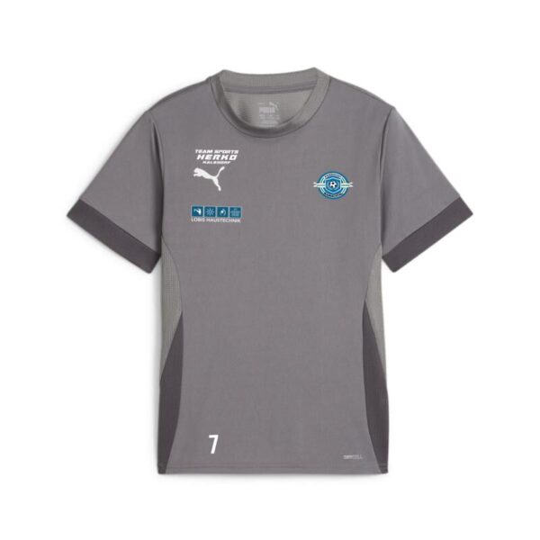 6413 22767 1028b15481c5 trainingsshirt jersey 00 li sponsor li l re sp2 li cast iron puma white shadow gray.jpg