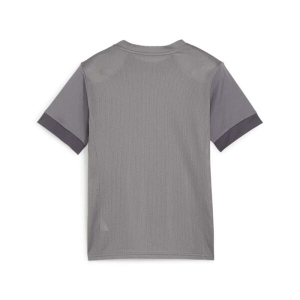 6413 22768 48566dc9a3be trainingsshirt jersey 00 li sponsor li l re sp2 li cast iron puma white shadow gray.jpg